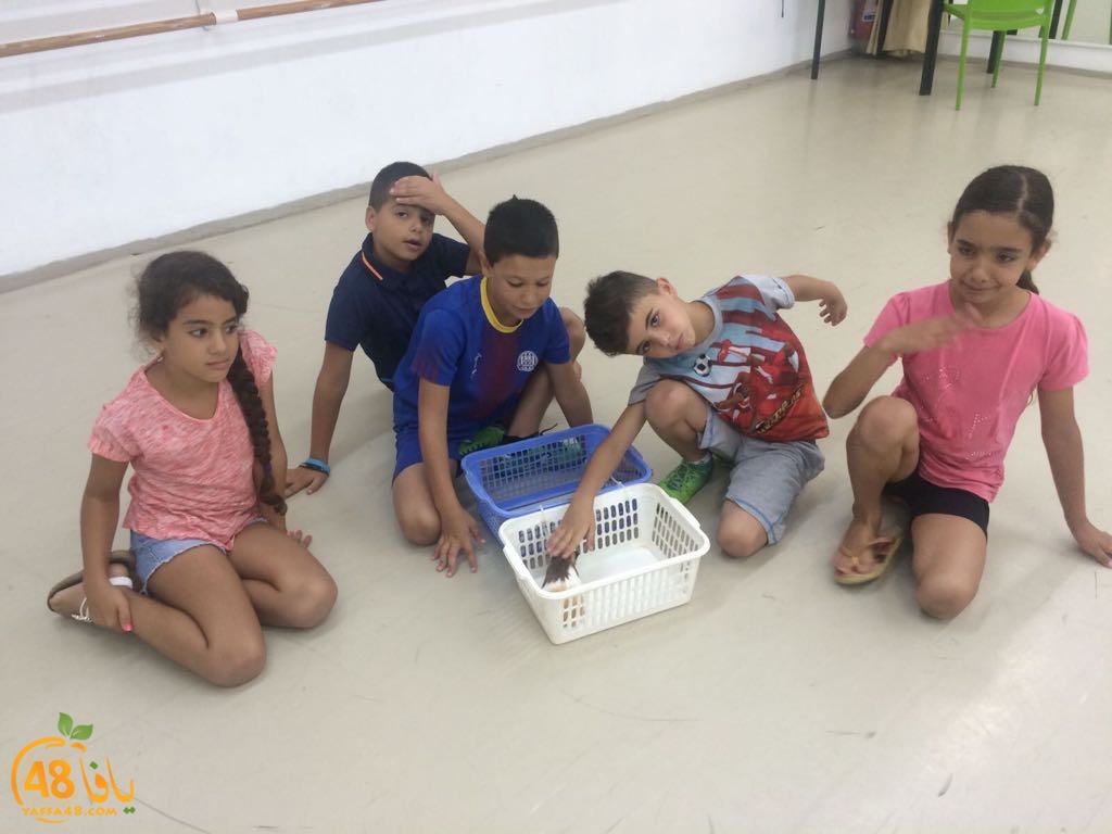 f3alayat saayf (15).jpeg